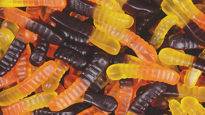 Was ist ein Computerwurm? Wie verbreiten sich Würmer?